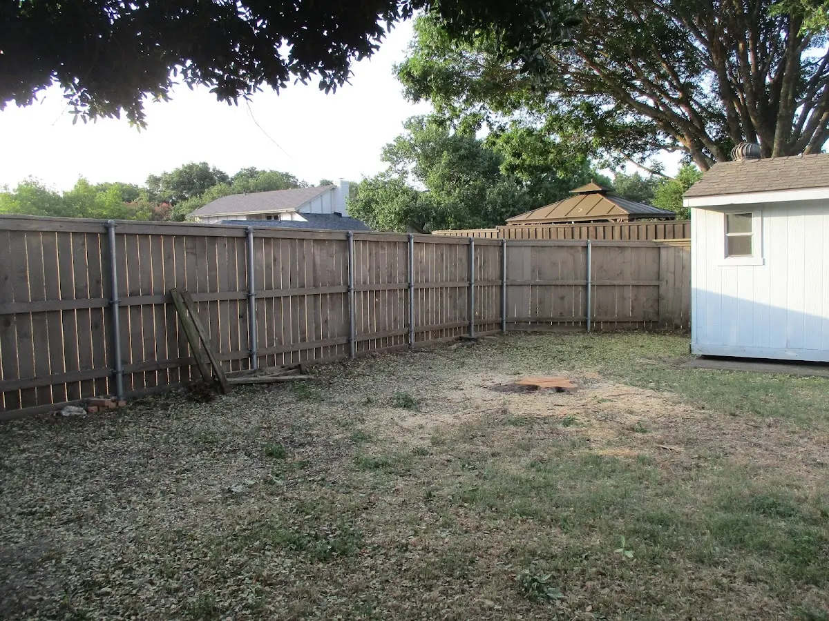 Cleared yard after professional tree removal in Seelyville